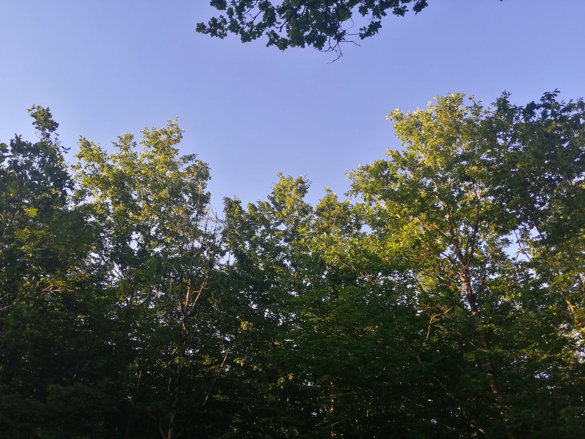 LKlerzi's tweet photo. Des fois je me sens seule, je fais des choix, meilleurs en terme d'écologie mais de vie aussi. Et ensuite je sors dehors et là.. Je vois les gens qui jettent parterre leur masque, je vois l'état des océans, la déforestation.. Et je me sens seule.
#EcoLifestyle
#ecology https://t.co/Mq5xlhOFx7