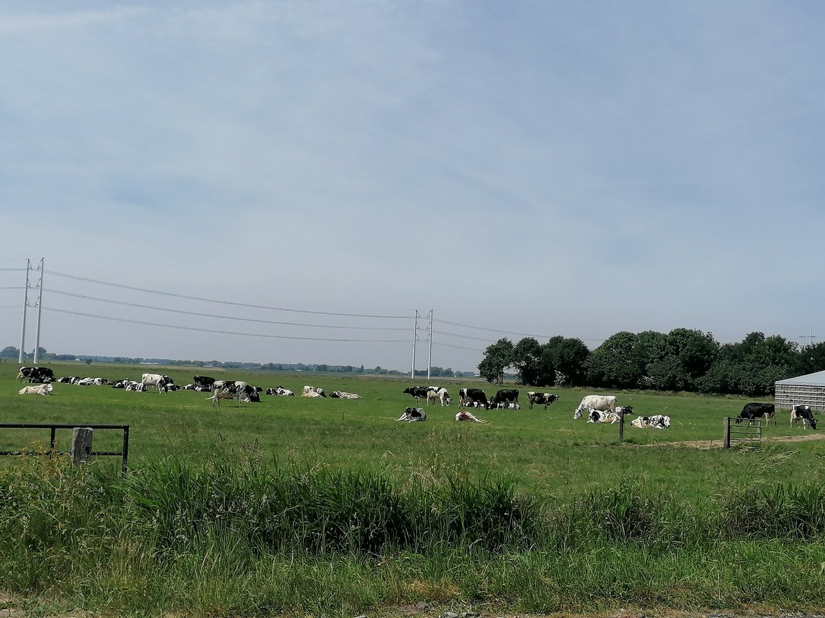 Met prachtig weer en veel plezier onderweg in ons werkgebied Kaag en Braassem om een attentie <a href="/or_in_actie/">OR ActiVite</a> te bezorgen bij onze collega's #ActiVite #deorkomtnaarjetoe Waardering voor jullie inzet in bijzondere tijden.