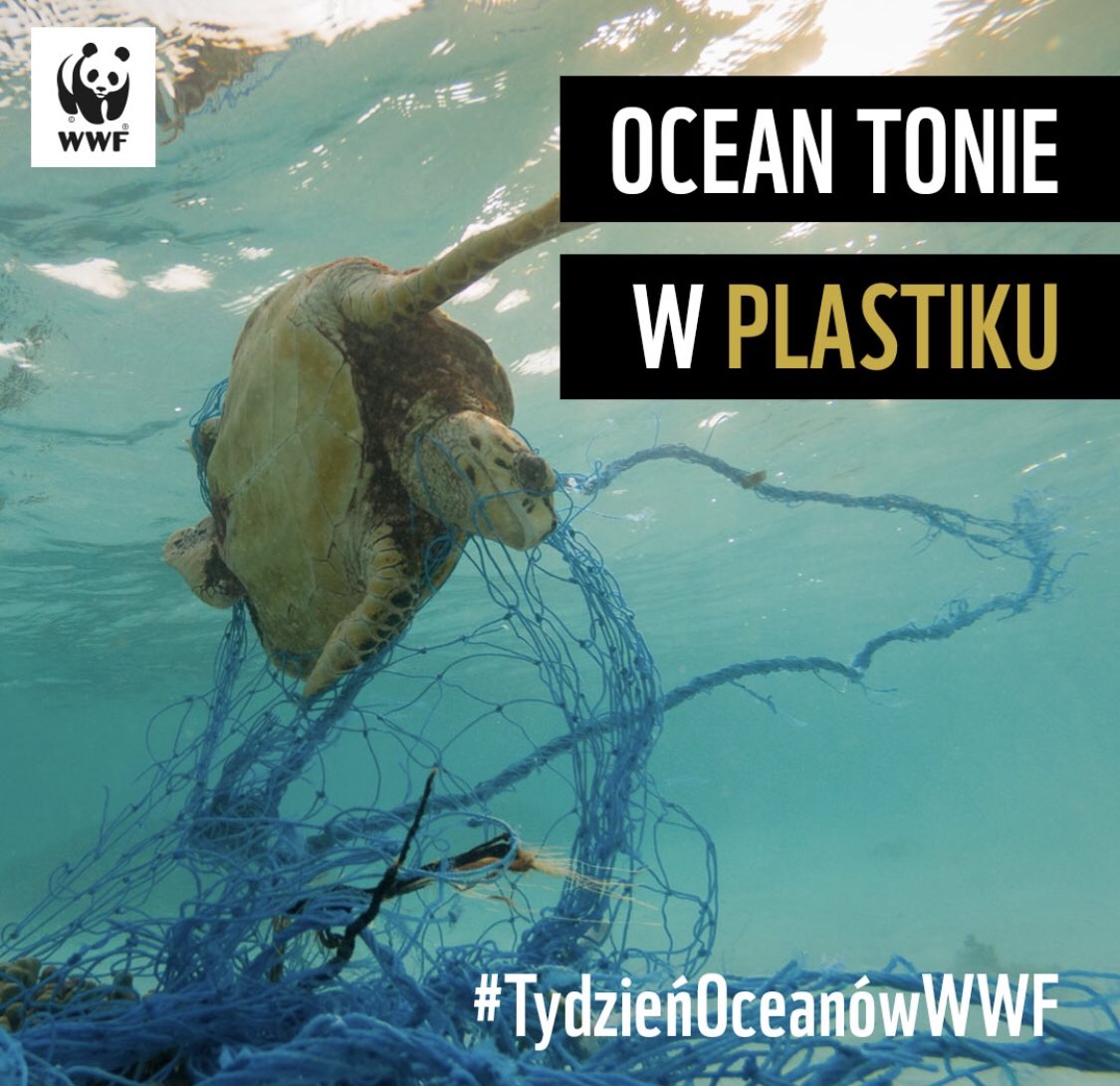 #TydzienOceanowWWF Dzień #3 Ocean tonie w plastiku!
Rocznie produkujemy 300 mln ton plastiku! Dziś o 16-#webinar 𝗣𝗹𝗮𝘀𝘁𝗶𝗸𝗼𝘄𝘆 #𝗢𝗰𝗲𝗮𝗻
🌊Transmisja LIVE na naszym FB oraz na Zoomie: bit.ly/PlastikowyOcean
🌊Dołącz do Tygodnia Oceanów!
bit.ly/TydzieńOceanów… #plastik