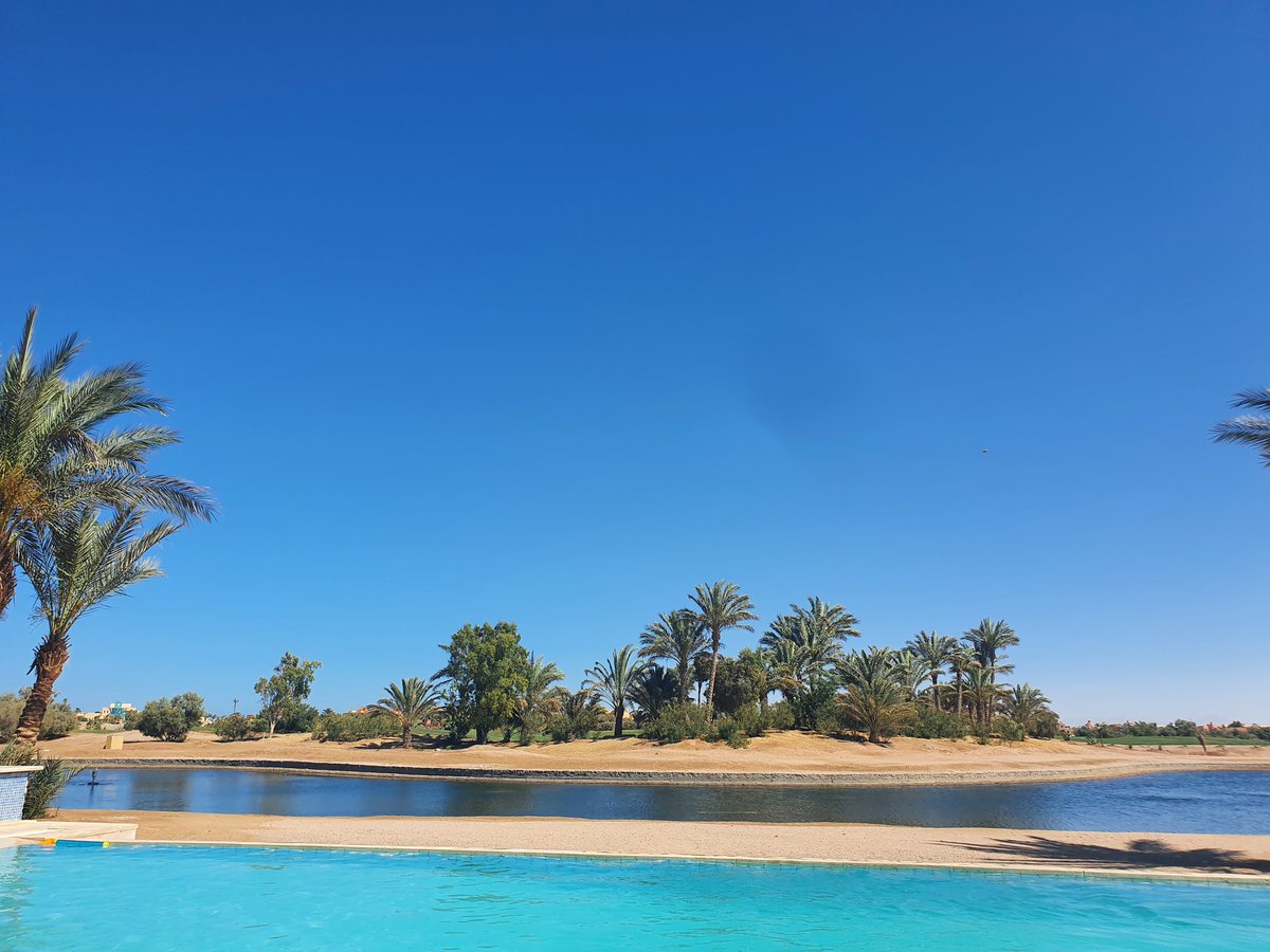 Day 1/7 #mylifeinpictures Rules: No words, no people. Nominate someone every day. I was nominated by @Basemwahby and today I nominate @RDelbreilh and <a href="/WaelMMahmoud/">Wael Muhamad Mahmoud</a>