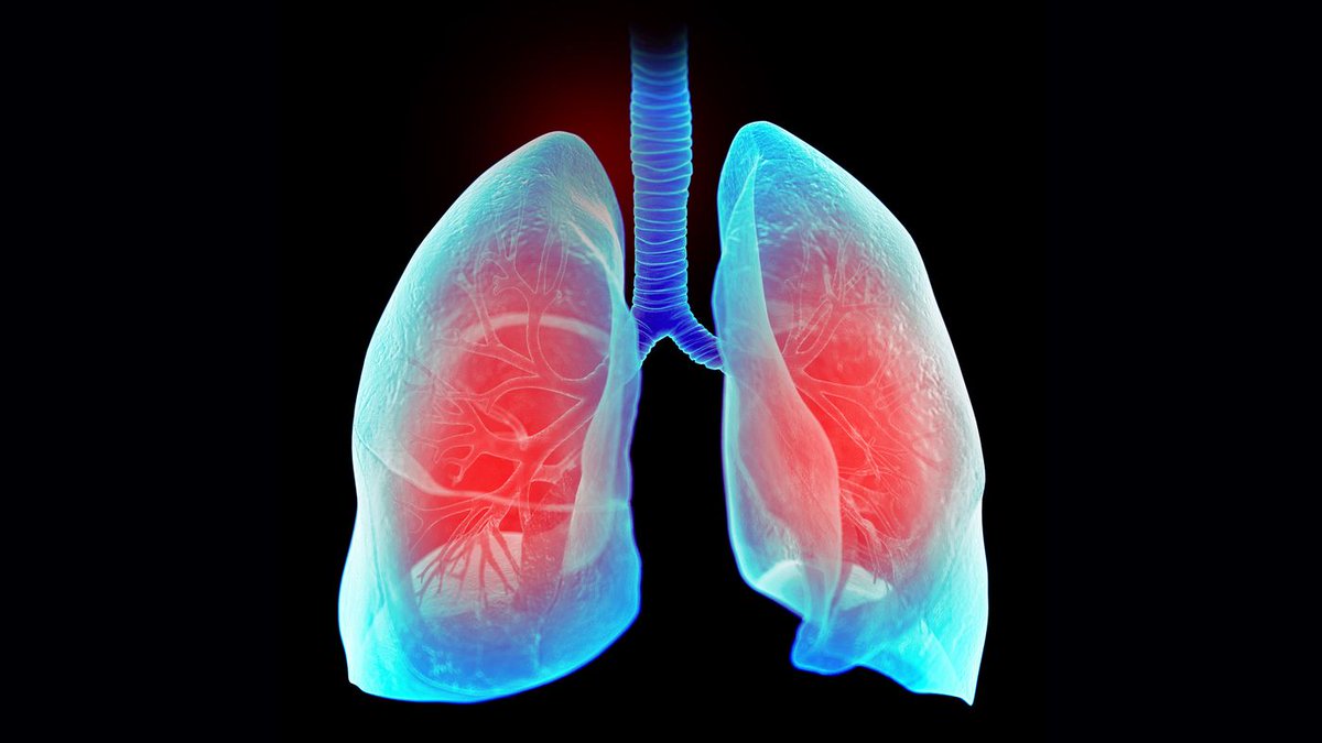 GuideSleep's tweet image. The lost art of breathing might be affecting your sleep.
buff.ly/36z8tCl