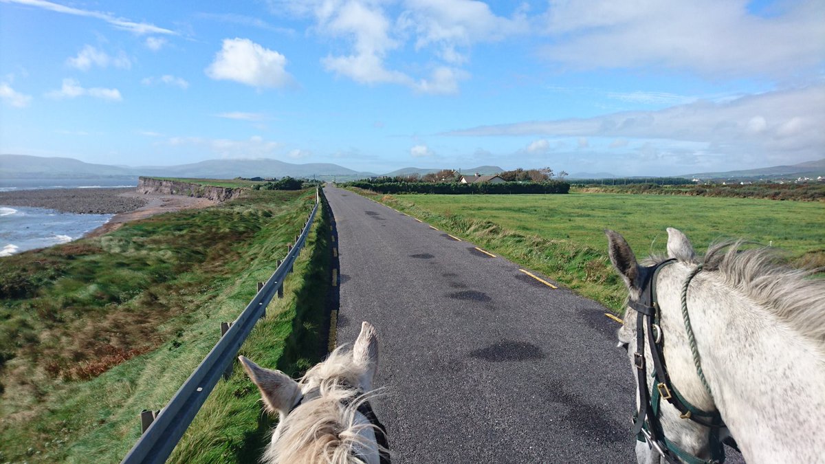 killarneystable's tweet image. Clive &amp;amp; Pringle heading towards Waterville beach for a swim🌊

Are you coming along ?  🏖️

#Killarneyridingstables #HorseridinginIreland #Killarneynationalpark #DaytourKillarney #Horses #Lovehorses #LoveKillarney #Kerry #Horseriding #killarney #killarneylakes #killarneystables