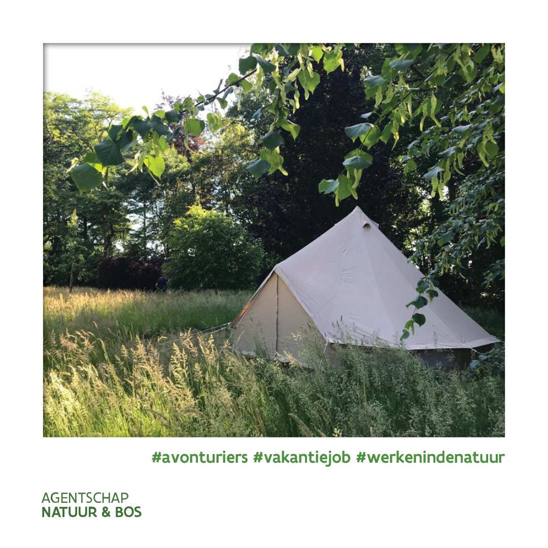 Natuurinvest zoekt jobstudenten (juli-sept)! Is een kantoorjob niets voor jou? Ga jij liever buiten, in de natuur aan de slag? Dan hebben wij de perfecte #vakantiejob voor jou. Kijk op natuurinvest.be/vacatures >

 #werkenindenatuur #vacature #studentenjob #natuurinvest
#vacature