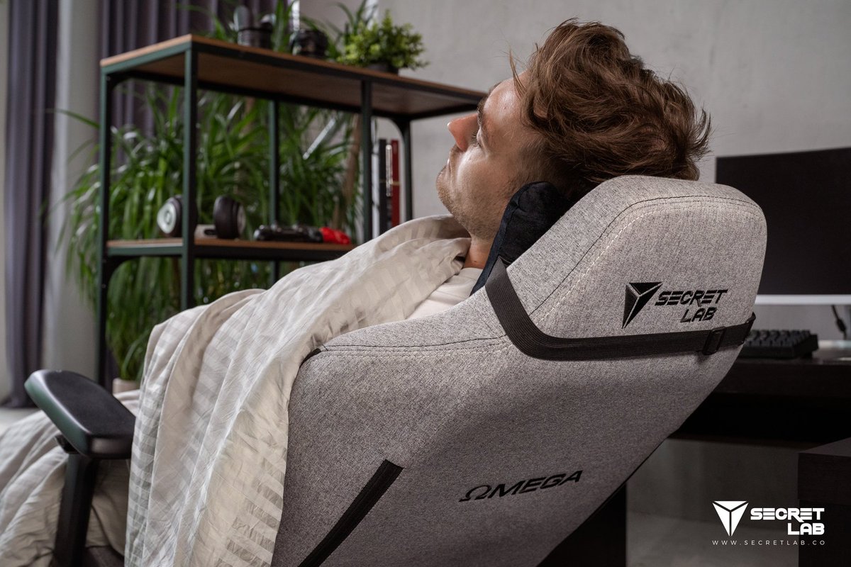 lumbar support secretlab