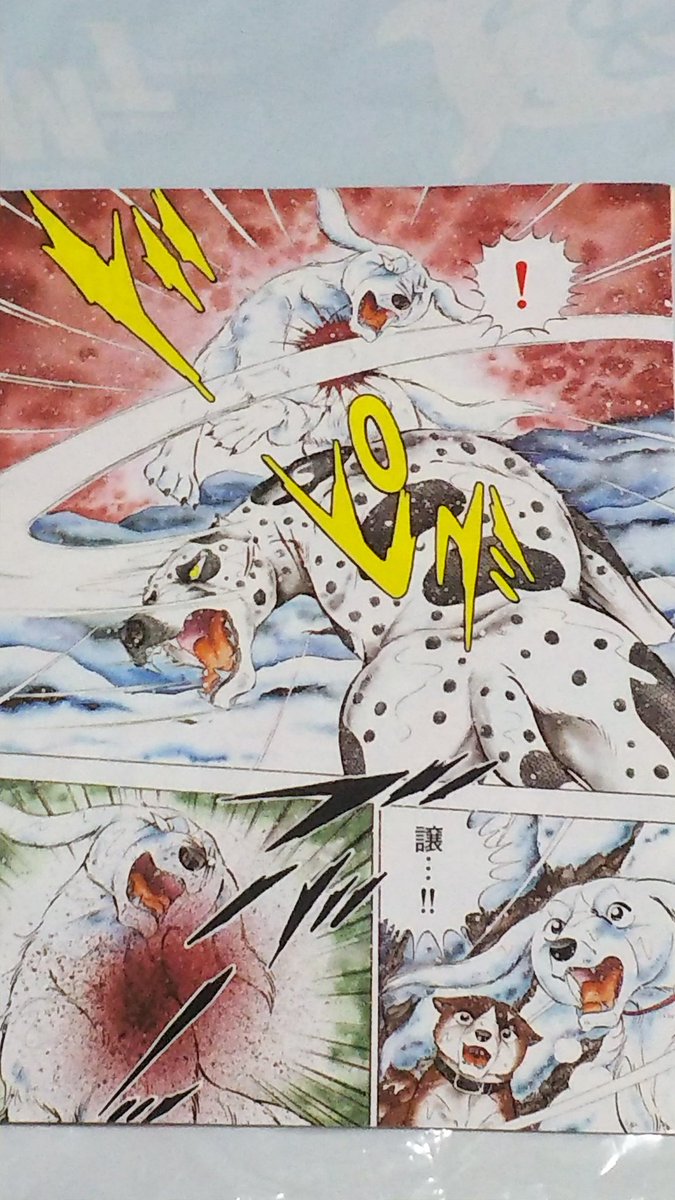 銀牙伝説WEED #銀牙流れ星銀 #銀牙 銀牙伝説WEED！第236話の 巻頭