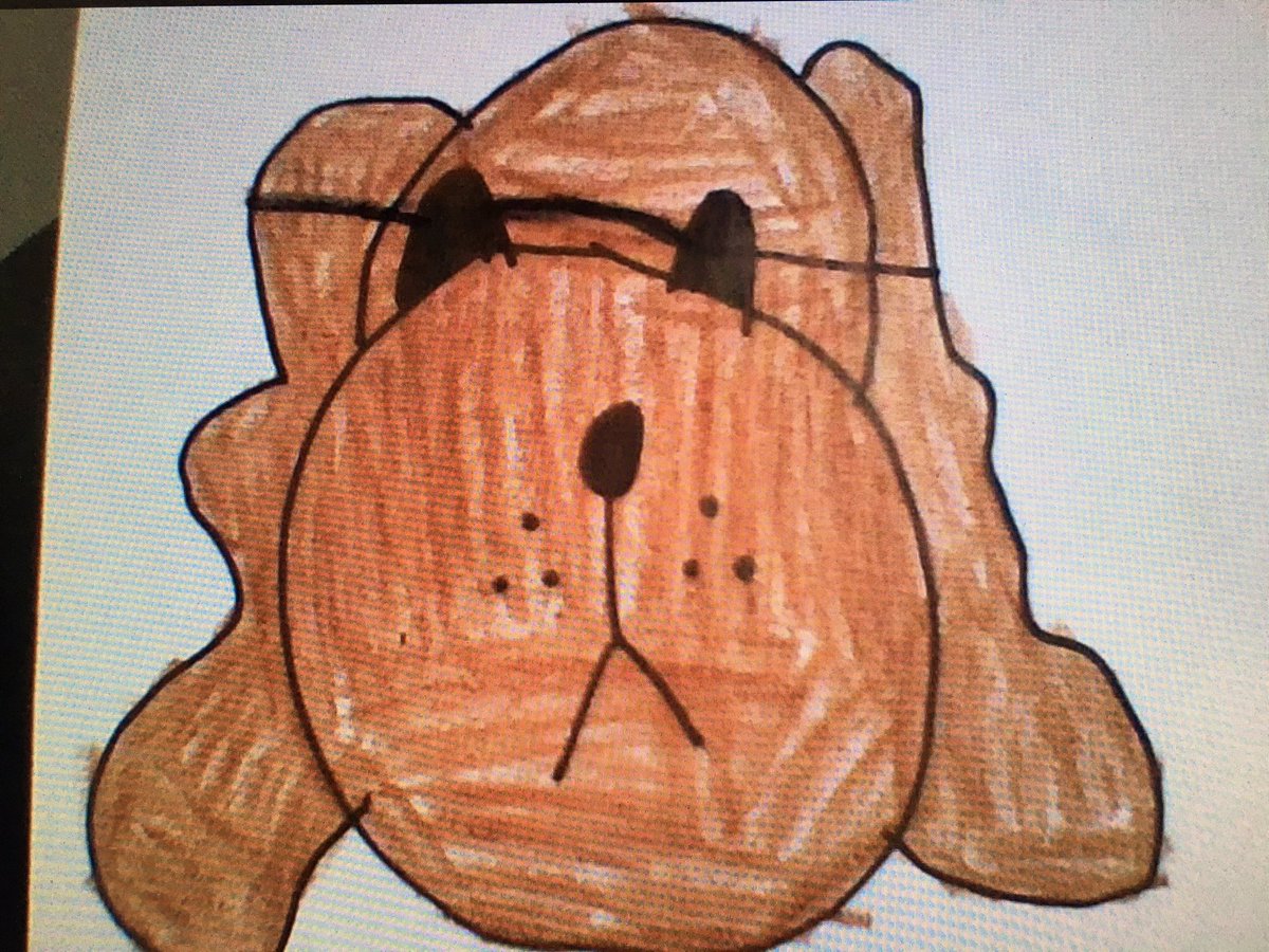 KristinStefankiewicz tweet media