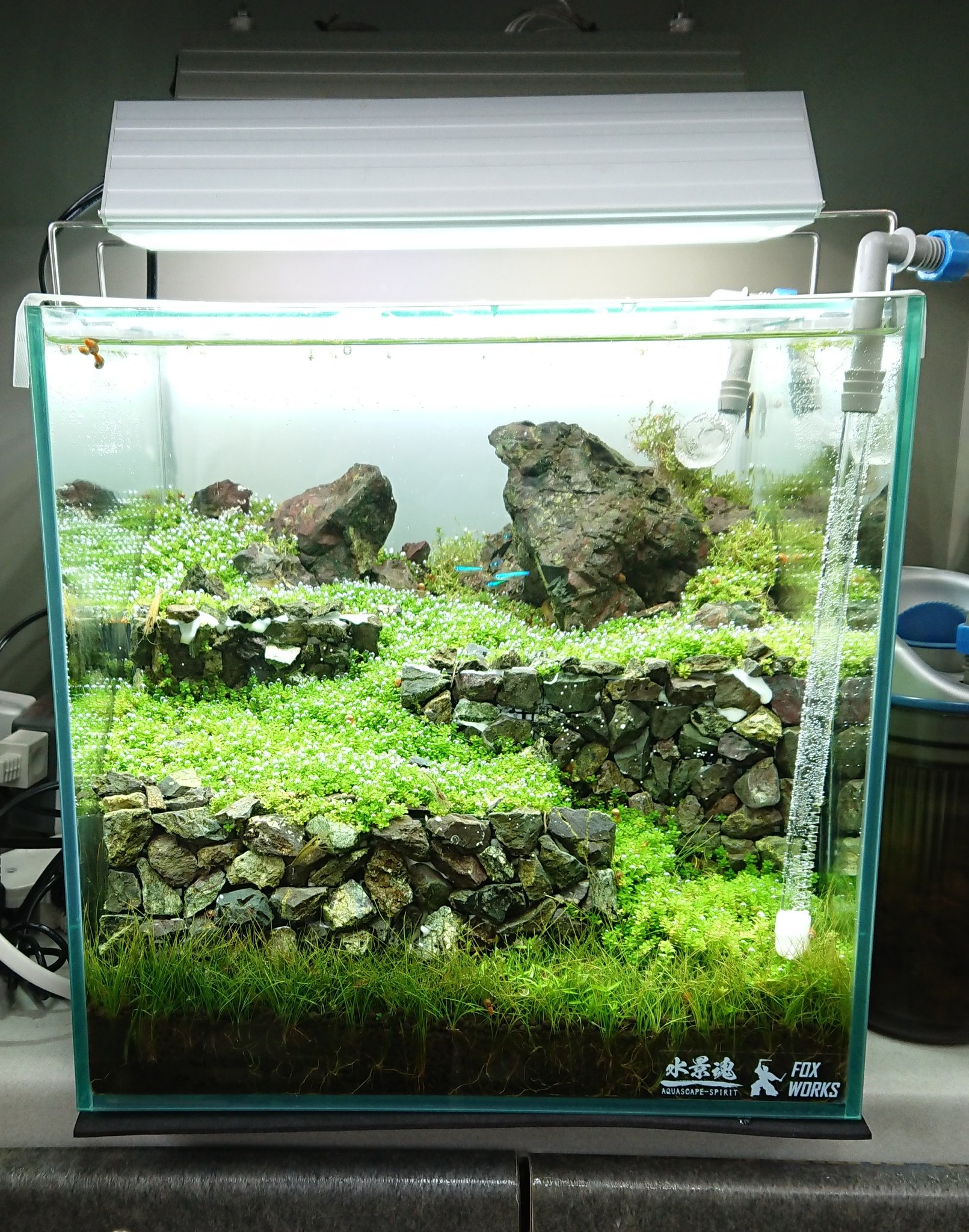 Aquafox 僕の30cmキューブの石垣水槽はグロウとブライトの2灯を使っています で 今はこんな感じです 色味が違うので 統一したいのなら同じ物が良いかなと思います Aquafox 僕の30cmキューブの石垣水槽はグロウとブライトの2灯を使っています で 今はこんな感じです 色味が違うので 統一したいのなら同じ物が良いかなと思います