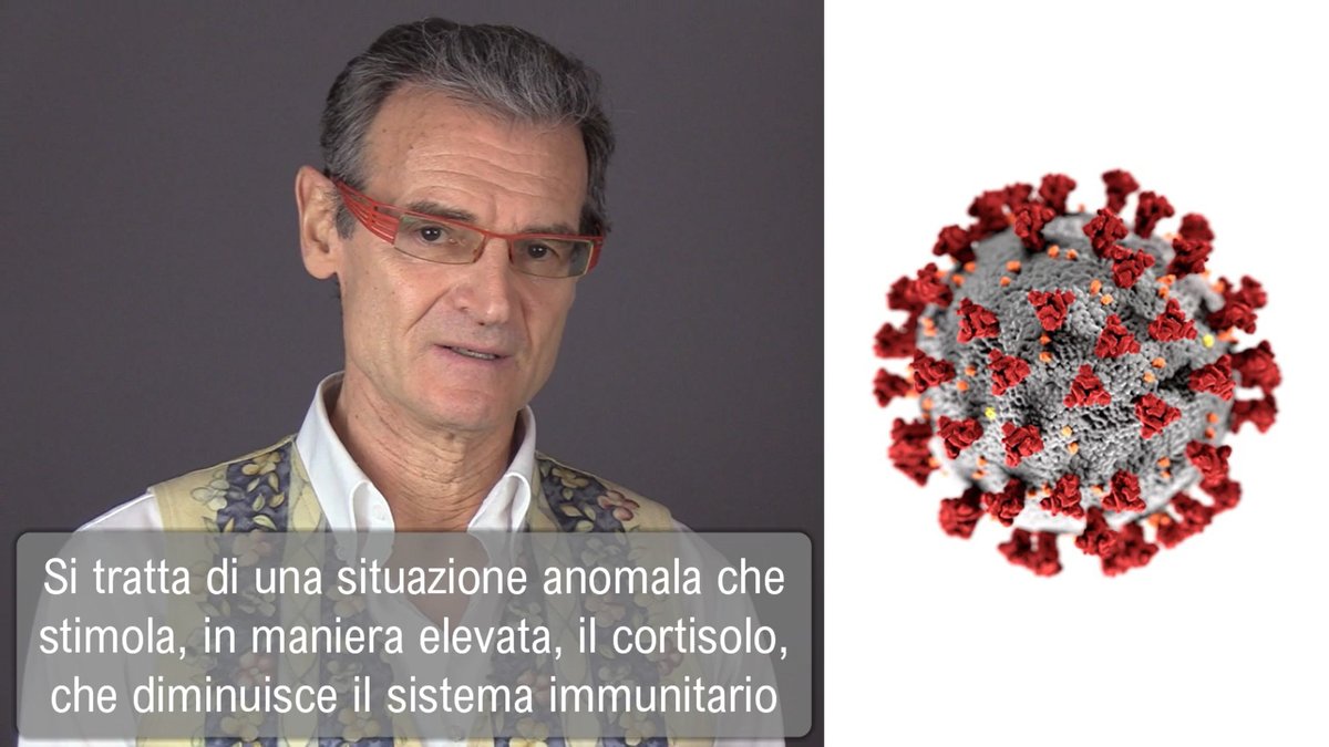 #coronavirus: come aumentare le difese immunitarie contro i #virus 

Nel video youtu.be/T70oXxVvjfs alcuni utili suggerimenti per migliorare il proprio sistema immunitario

#VirusCorona #Covid_19 #sistema_immunitario
#difese_immunitarie