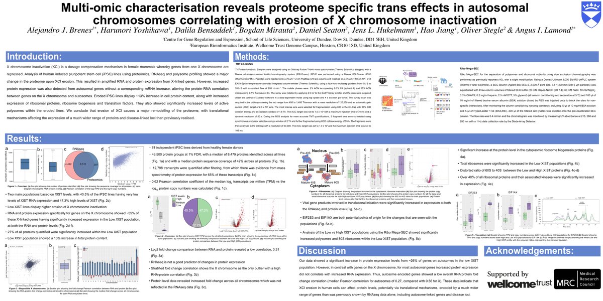 here's my poster (ThP 501) for #ASMS2020 we show human X chrom. erosion has effects that extend beyond the X chrom. This is revealed by #proteomics and mostly invisible from RNAseq data. We had been missing out a whole dimension of data by just doing transcriptomics.