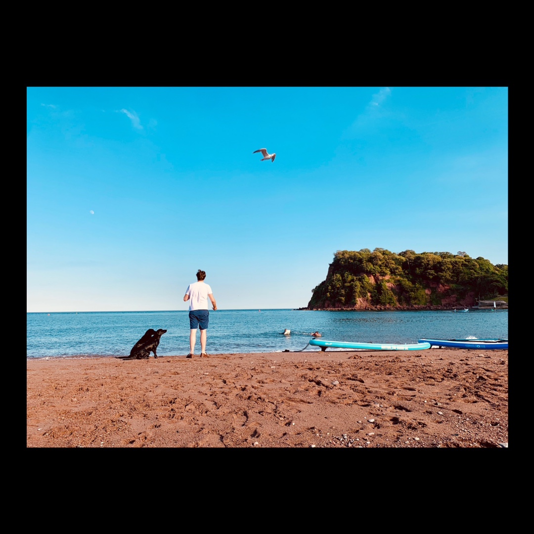 I took Peggy to the beach for her first time yesterday and she loved it hardly left the sea. #labsofinstagram #WorkingDogs