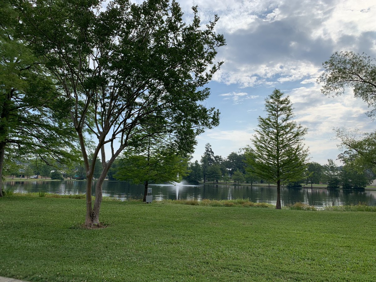 CoachCrocky's tweet photo. Morning jog 🏃🏿‍♂️💨   #WeevilPond https://t.co/W23DJRV1jw