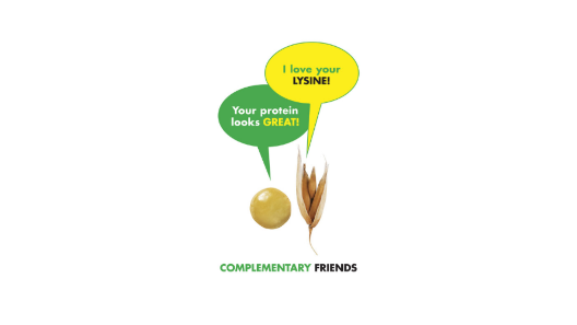 AvenaFoods's tweet photo. [NEXT WEEK] #Webinar: Maximising quality protein and increasing total protein in snacks and bakery @bestpulses - https://t.co/WdF43ab7ir https://t.co/C1uqhQR3Ma