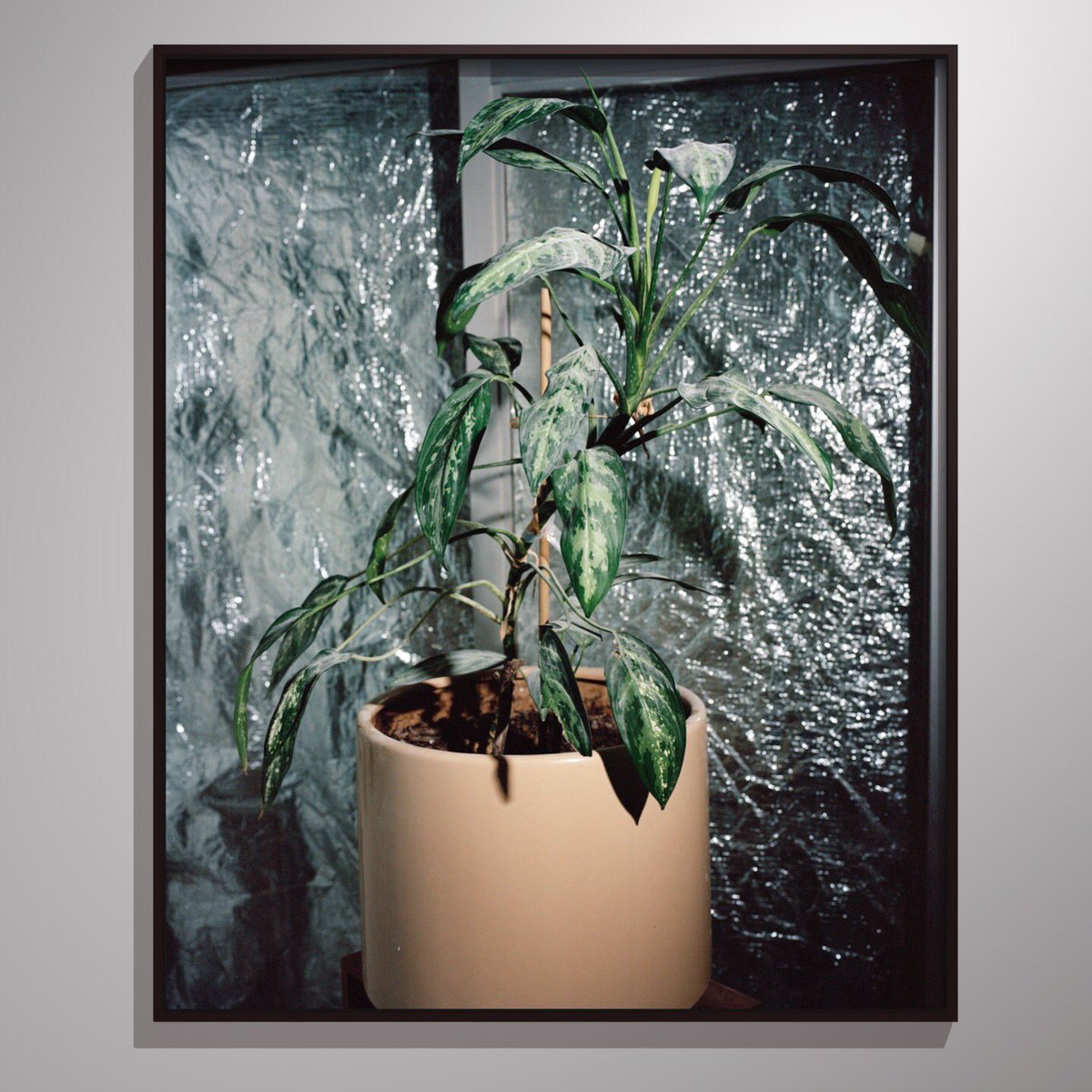 Hemelliggaam or The Attempt To Be Here Now (Chapter Two) virtual exhibition - chaptertwo.hemelliggaam.com