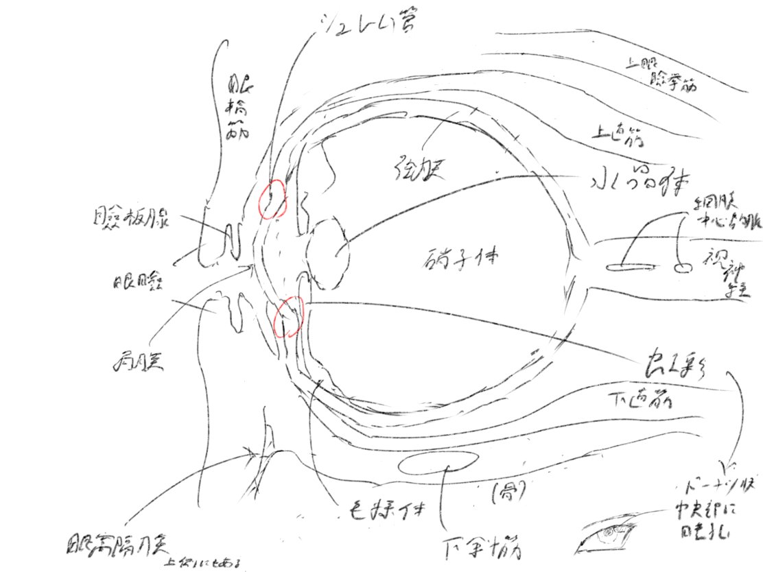 これ8ー10分くらい 