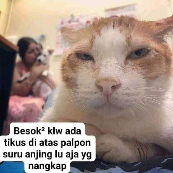 arzftrd's tweet photo. IRI BILANG BOS
sore https://t.co/RAPmitgORU