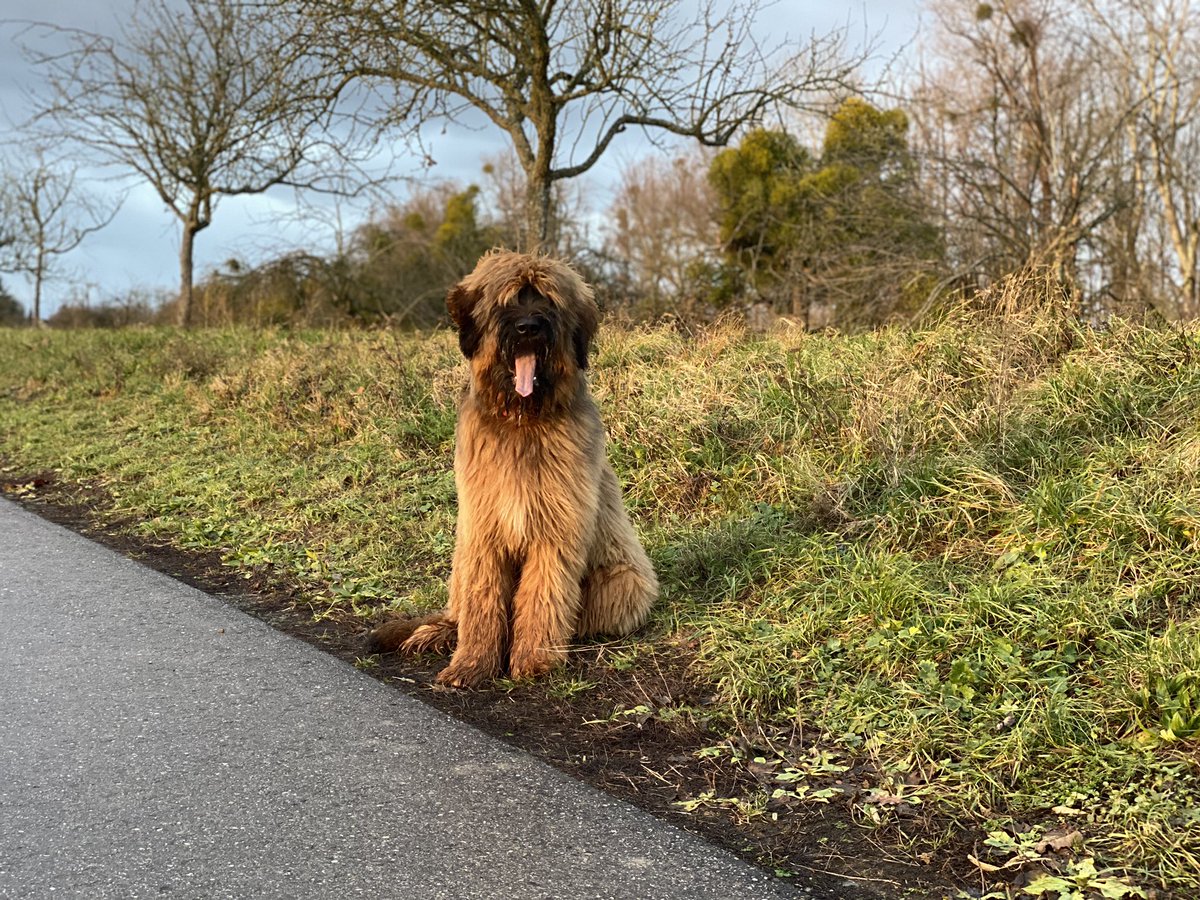 Day 1 of 7 of my life in pictures. Rules: No people, no words. Nominate someone new each day. I was nominated by <a href="/SocietiesHybrid/">HybridSocieties</a>, I nominate <a href="/calexey/">Alexey Tschudnowsky</a> :-).