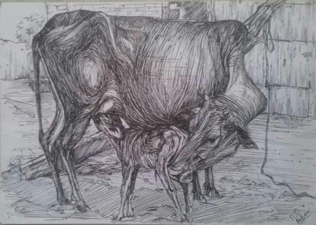 Pure Love.
#drawing #cow #artwork #artstudio #artoninstagram #sketchdrawings #sketch #artwork #artsy #penandink #motherhood #animaldrawing #animaldrawings #sketchdaily #sketchbook