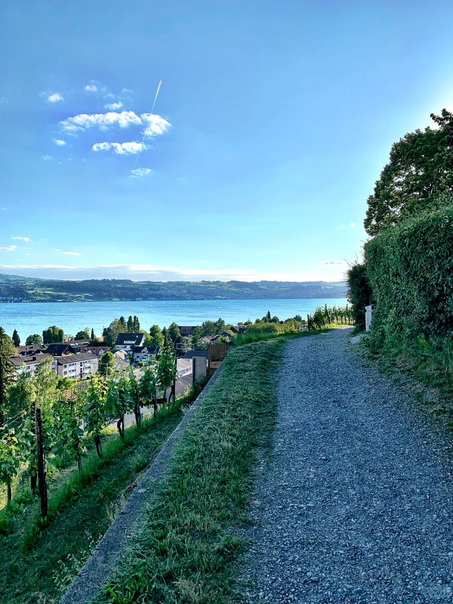 deLeonardisP's tweet photo. Little walk #nature #bergen #natur #landscape #mountains #naturelovers #landschaft #wandern #outdoor #hiking #sonne https://t.co/1el4dNVAAD