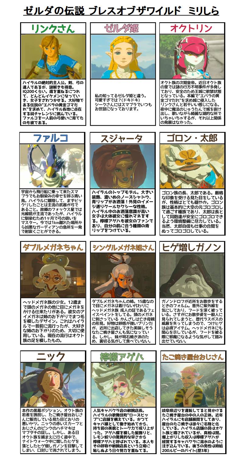 ゼルダの伝説同人誌□76p□Skyward～/リンク×ゼルダ、リンク＋ファイ