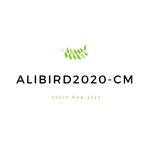 ALIBIRD2020-CM tweet media