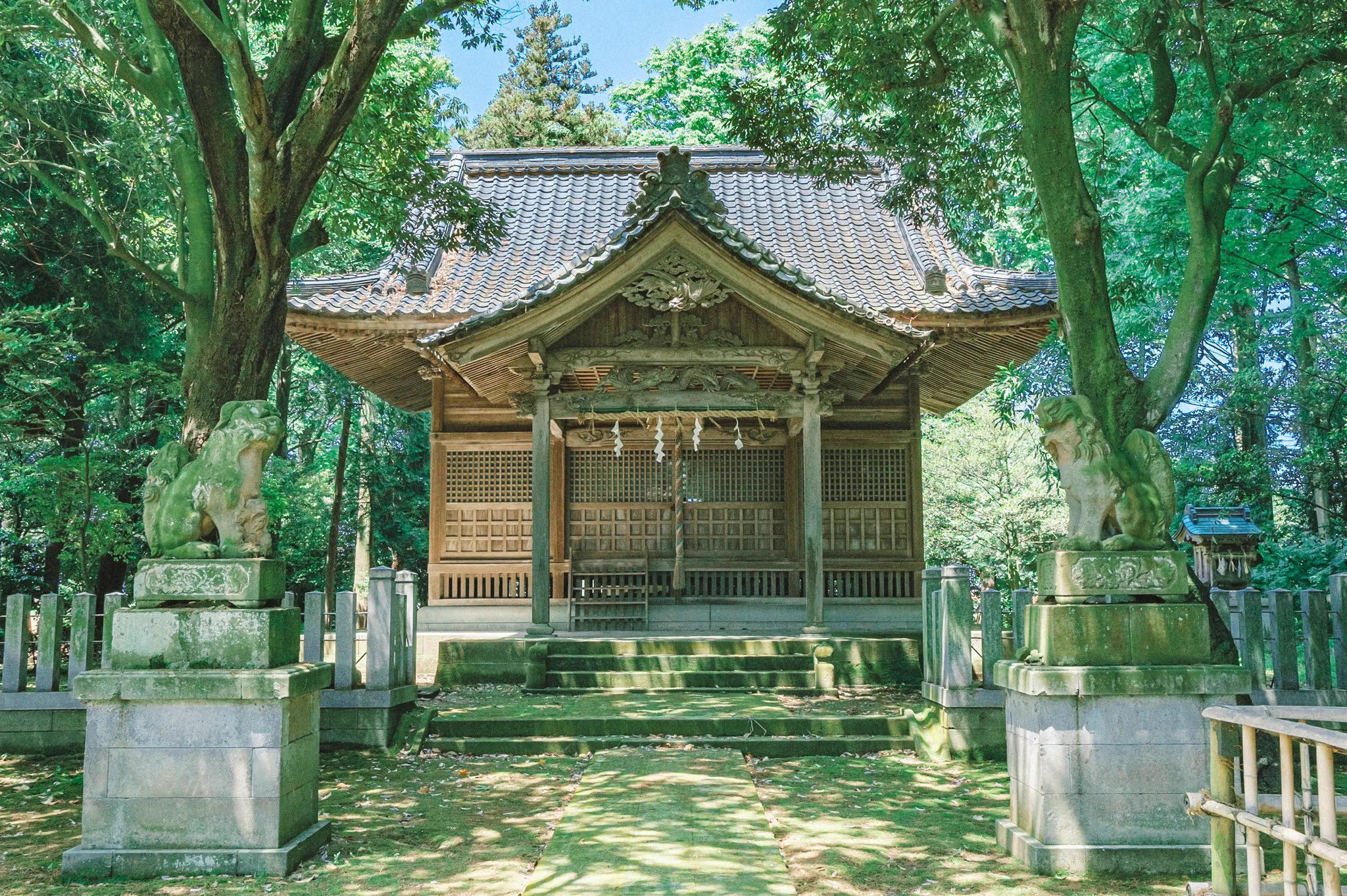 懐かしく美しい夏の景色！今にもセミの声が聞こえそう！