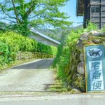 懐かしく美しい夏の景色!今にもセミの声が聞こえそう!