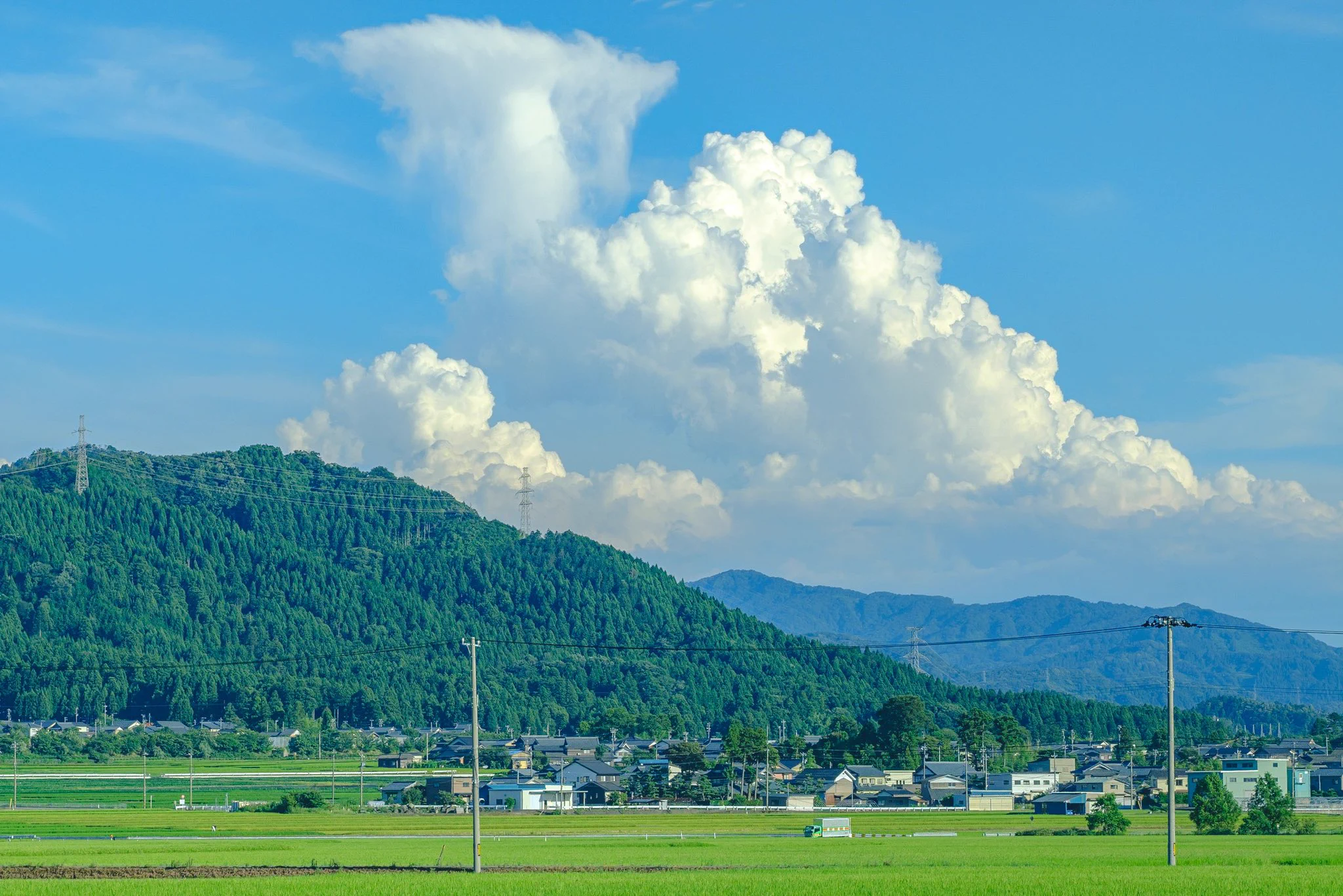 懐かしく美しい夏の景色！今にもセミの声が聞こえそう！