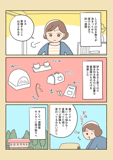 保護猫ちゃんを家に迎えるまでの話⑪明日の⑫が(次こそ)ラストです…!しらすがおうちにやってきます。明日の夜19:30に更新します、見てくれると嬉しいです? 