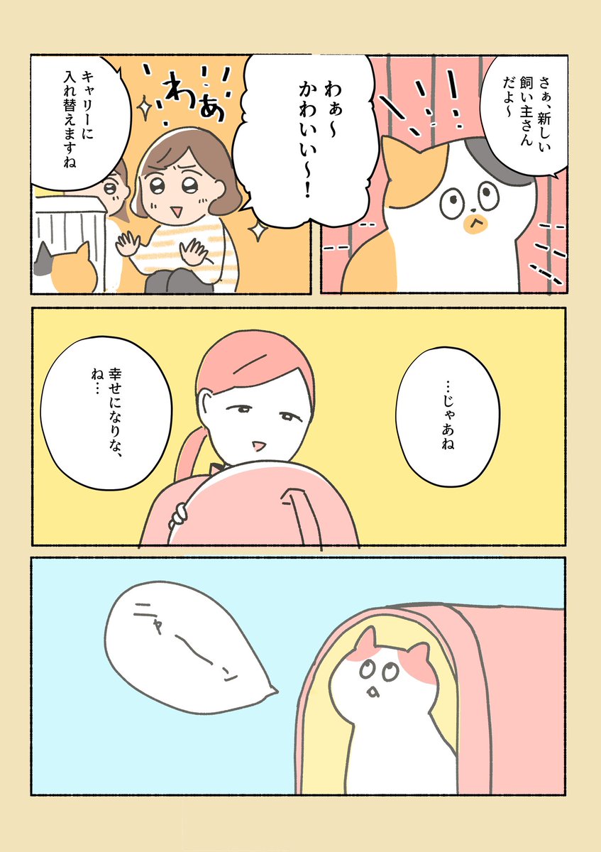 保護猫ちゃんを家に迎えるまでの話⑪

明日の⑫が(次こそ)ラストです…!
しらすがおうちにやってきます。

明日の夜19:30に更新します、見てくれると嬉しいです? 