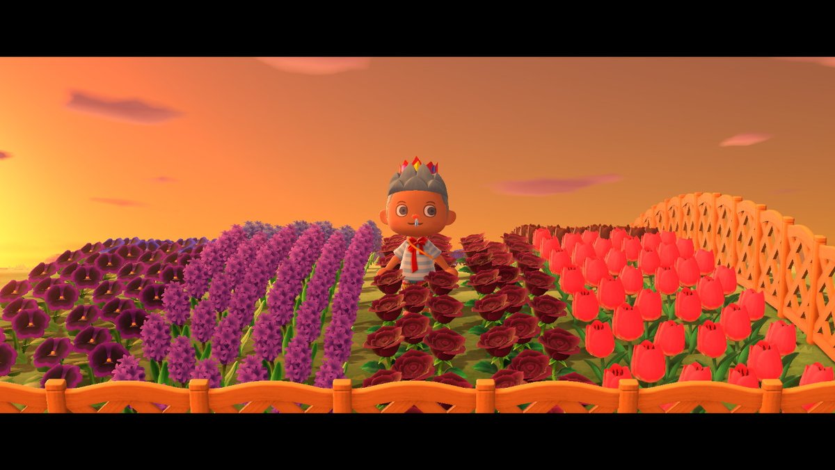 jacky903's tweet photo. #動物森友會 #AnimalCrossing #ACNH #NintendoSwitch https://t.co/yic267dQlR