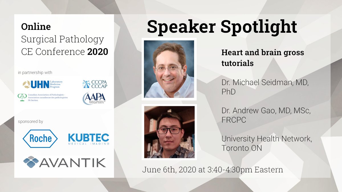 Canadian_PEh's tweet image. #onlinePAconference Speaker Spotlight! Watch UHN pathologists Drs. Seidman and Gao (@MSeidmanMD, @afgao) as they work through real heart and brain specimens. Catch their tutorials Jun 6 3:40-4:30pm EDT. Register: bit.ly/36KFBa4