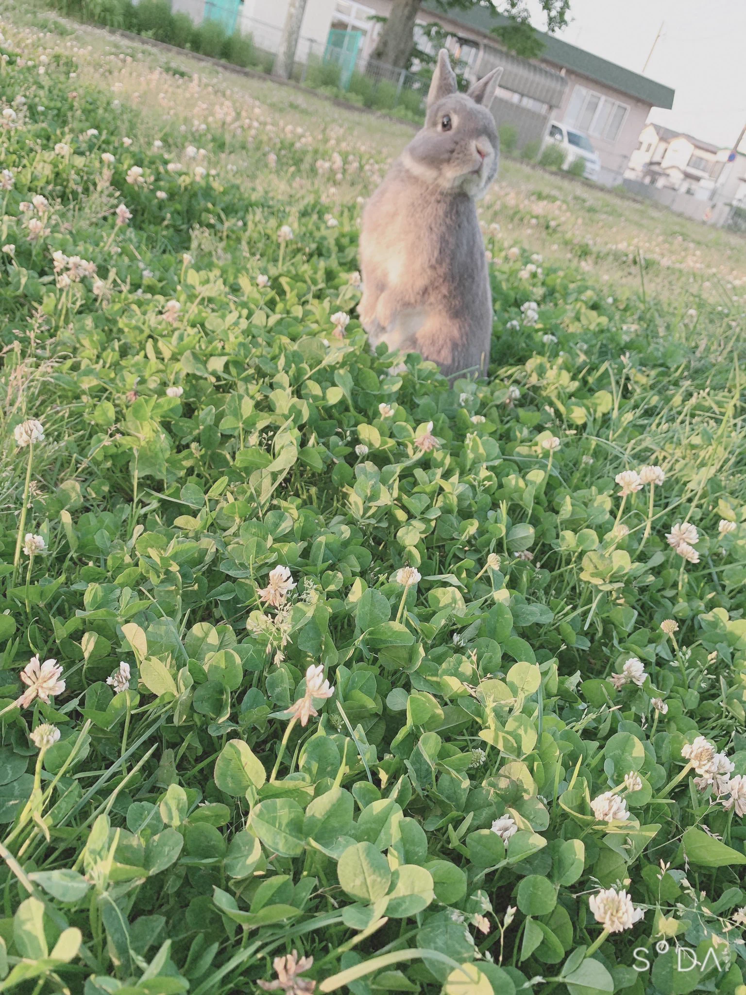 @ru_ruru831 貼れと言われてる気がしましたので便乗します🙇 お外から失礼します 