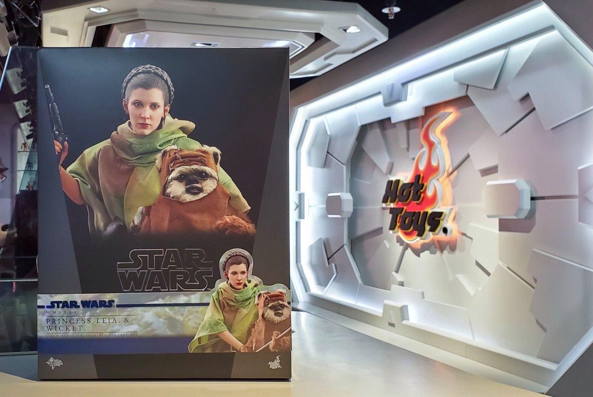 PRINCESS LEIA & WICKET ホットトイズ スターウォーズ 1/6