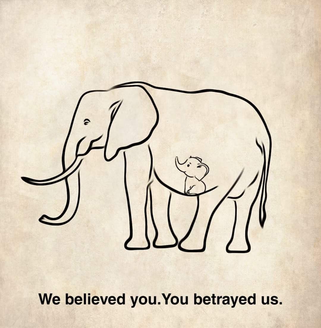 aditiraval's tweet photo. I don’t want this #RIPHumanity trending, instead I want #JusticeForElephant !!! This whole incident was heart breaking !! Strict rules/laws are not protecting animals, we feel helpless and shame at times. इंसानियत बचाओ तो इंसान बचेंगे !! Being Human सिर्फ़ brand बनके रेह गया हे ! https://t.co/nvdmrqiZP3