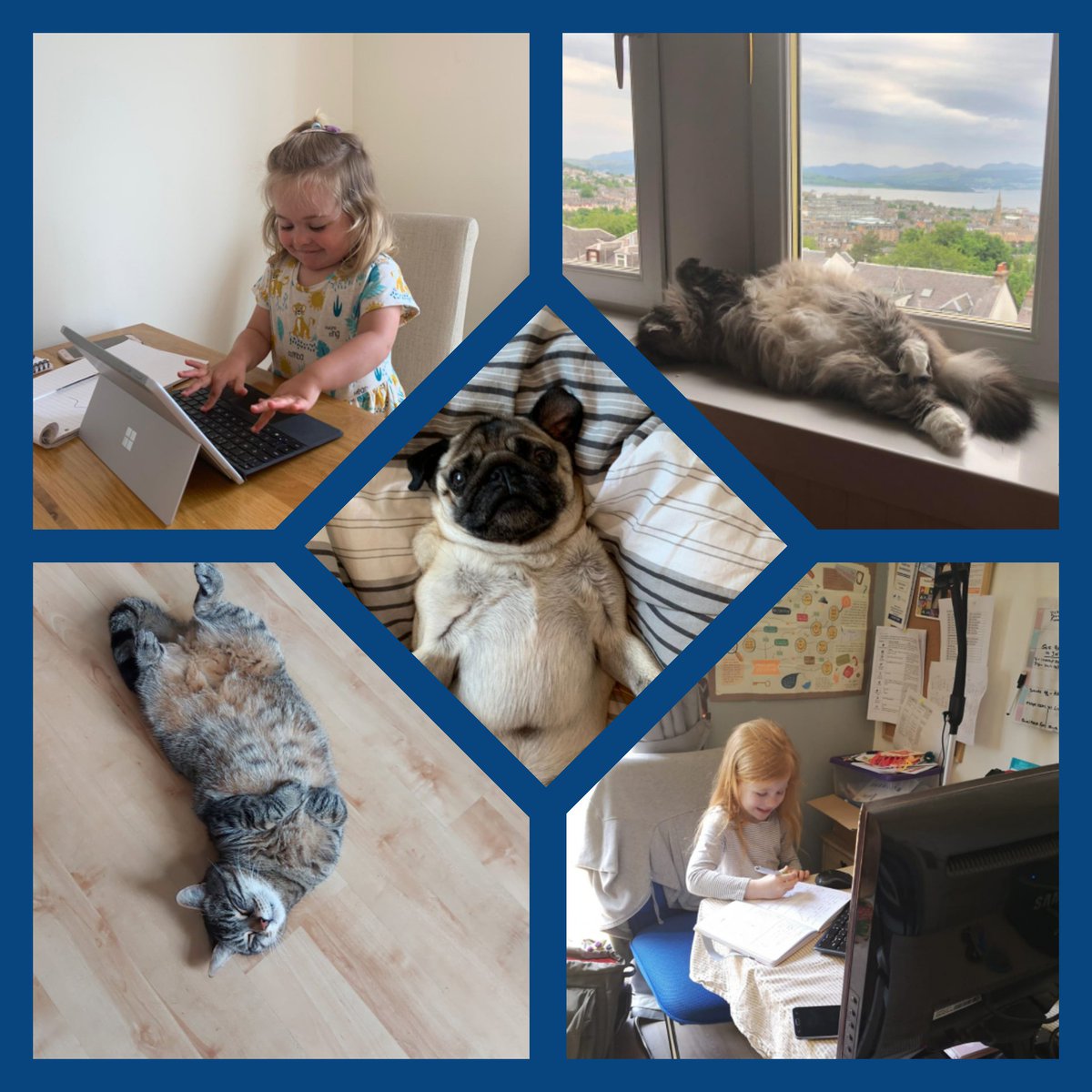 We have to confess.....we've had help from our 2 and 4 legged friends during lockdown 👶👧👦🐶🐱 They have been an invaluable resource, providing cuddles, comfort, reassurance 🥰🥰 and sometimes cheap labour 😹💻 <a href="/CVSInverclyde/">CVS Inverclyde</a> <a href="/InverclydeHSCP/">Inverclyde HSCP</a> #inverclyde #helpersorhinderers?