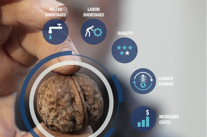 confectionprod's tweet photo. Tomra highlights challenges for the nut processing sector with new publication, revealing major upturn in demand for products, which are widely used in confectionery @TOMRAFood #confectionery #nuts #processing #sectorchallenges #confectioneryproduction...https://t.co/va7uHZ6XiV https://t.co/NvWamSWHwt