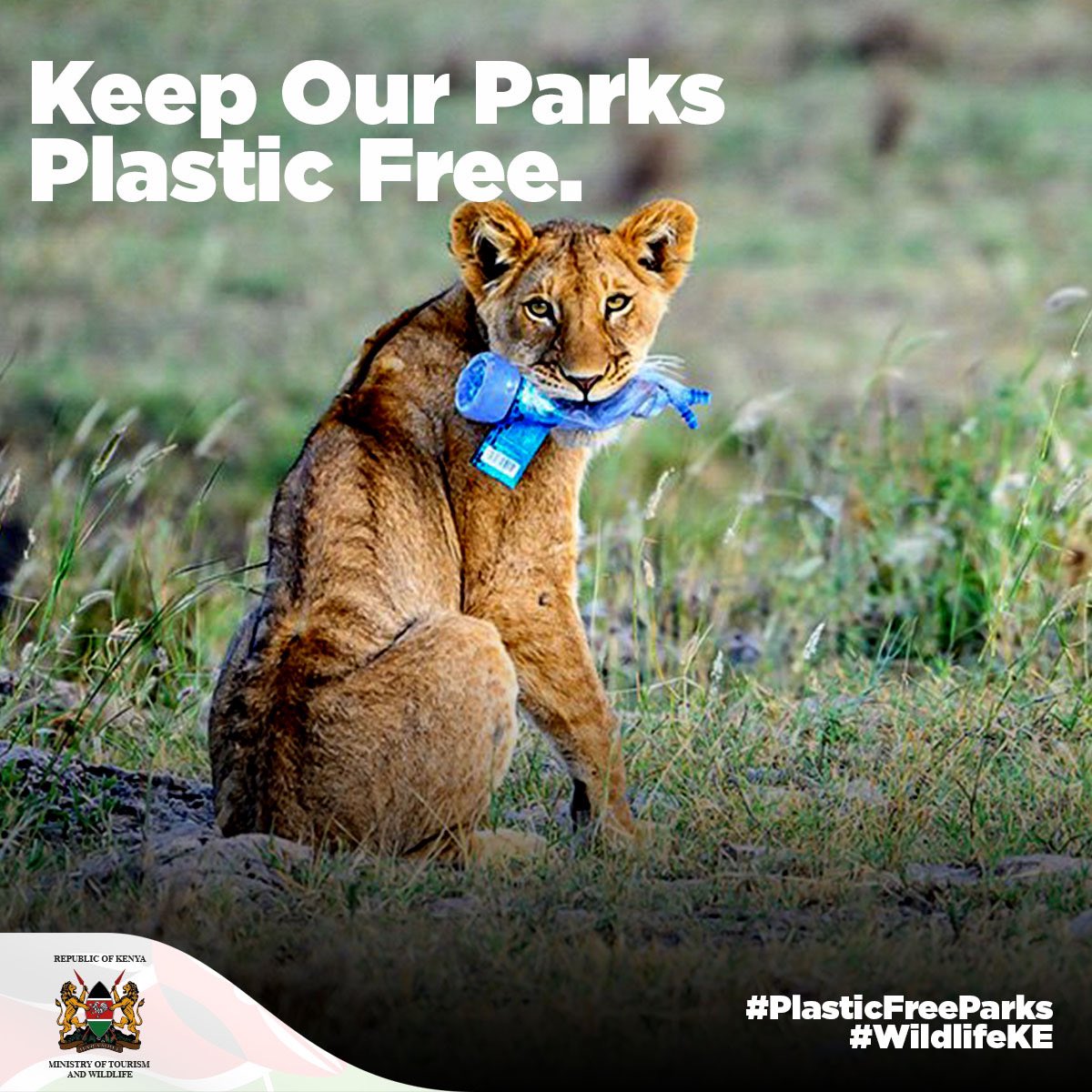 Single-use plastics ban in all our protected areas loading... 5th June 2020.
Mark your 🗓 
#WildlifeKE #PlasticFreeParks