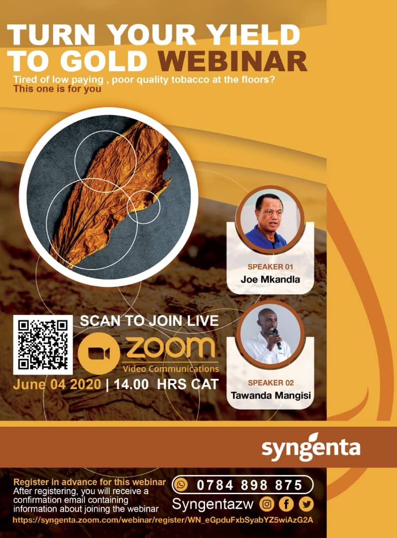 SyngentaZW's tweet photo. @SyngentaZW is hosting a Zoom webinar on Tobacco nursery management for profit, this
Thursday 04-06-2020.
The golden leaf ought to earn you some good profits when the quality is excellent.Register in advance for the webinar &amp; learn more on how to produce the best quality tobacco https://t.co/PymHrNVUJx