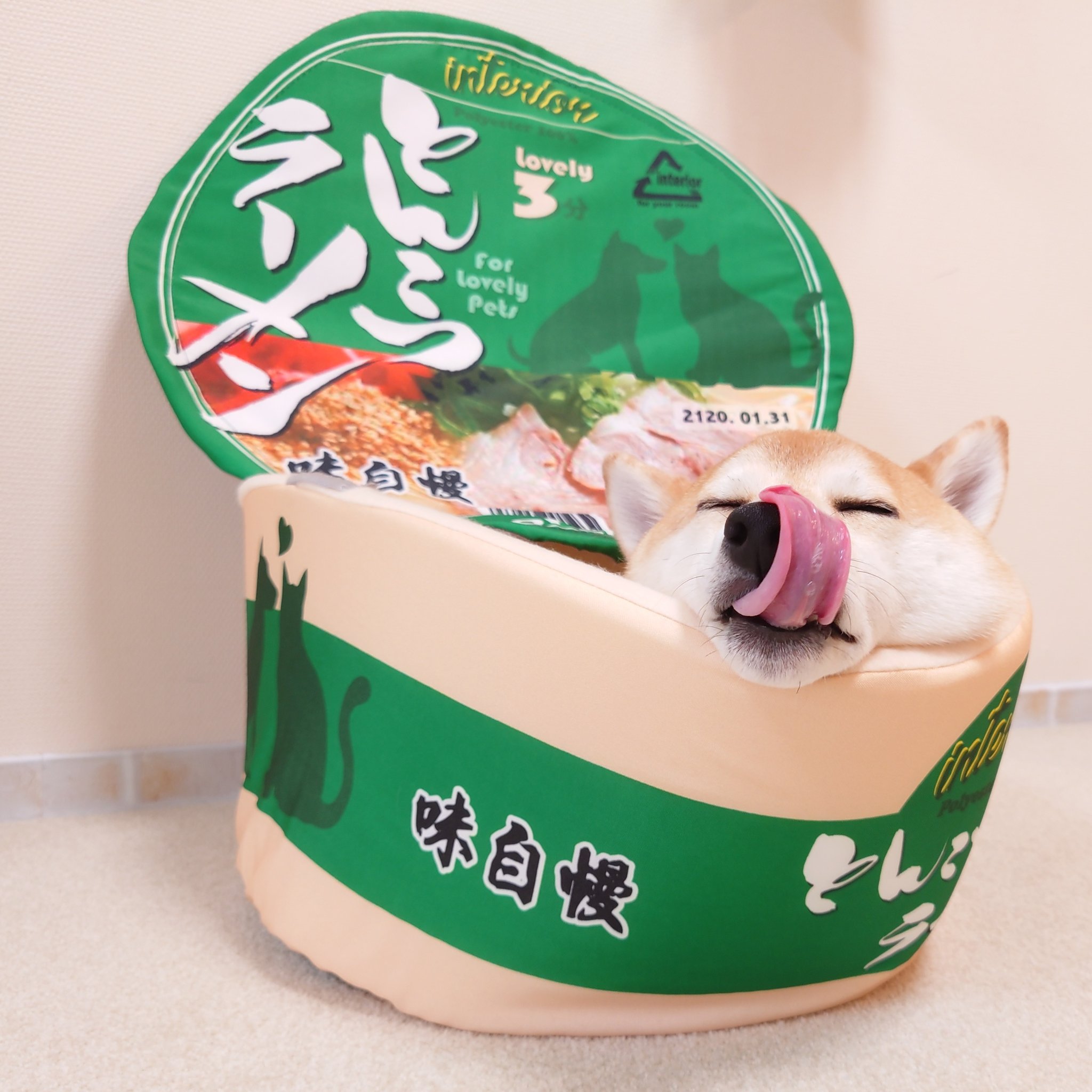 柴犬チャーミー とんこつ柴ラーメン 新しいベッドが増えました 笑 赤いきつねうどんベッドもやっぱり欲しいなぁ 柴犬 Shiba T Co T5fotnhq1v Twitter