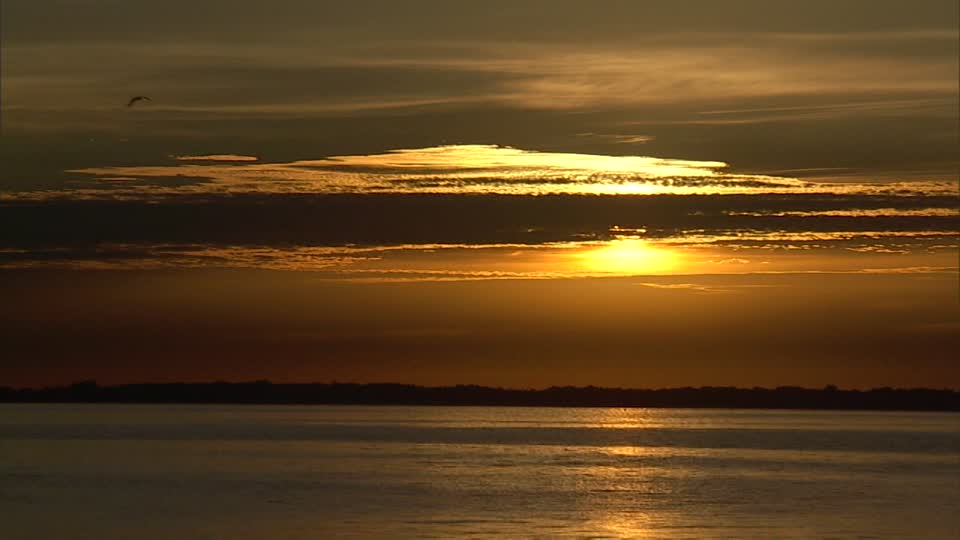 Sunrise. Awe-inspiring tranquility and promise. 2020 has been rough so far.