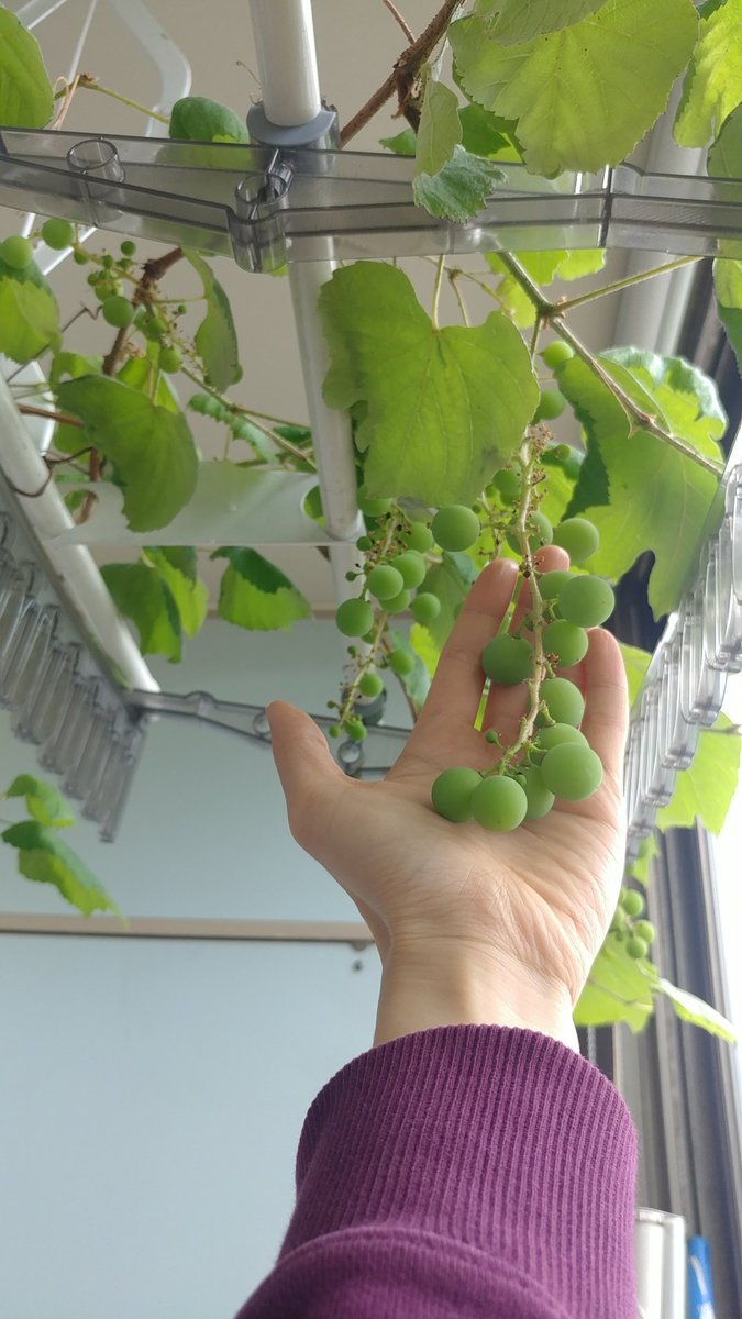 씨를 뿌리지 않았는데 열매를 기대할 수 있는가? 그러므로 모든 창의력을 동원하여 씨를 뿌리자.