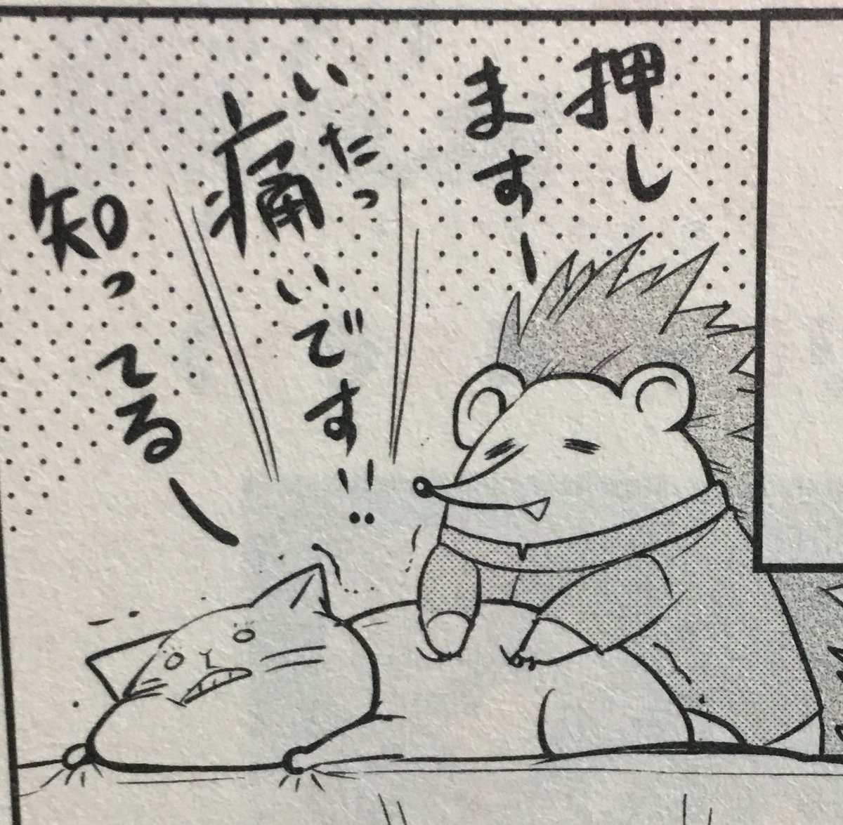 全然話変わるんですが、
「恐怖を興奮に変えるのです」の台詞を、
行きつけの整骨院のハリネズミのお兄さんが「あれ!かっこいいですよね〜!!」ってめっちゃ語ってくれたのを思い出しました。
元気かな容赦のないハリネズミのお兄さん。