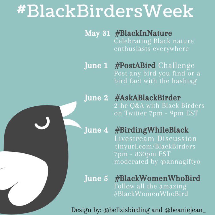 Tomorrow's #BlackBirdersWeek event is #BirdingWhileBlack - please tweet your stories and follow to hear from those under-represented in nature conservation. Join us in sharing #BlackBirder & nature enthusiast voices to bring more visibility to the community 🐦💚