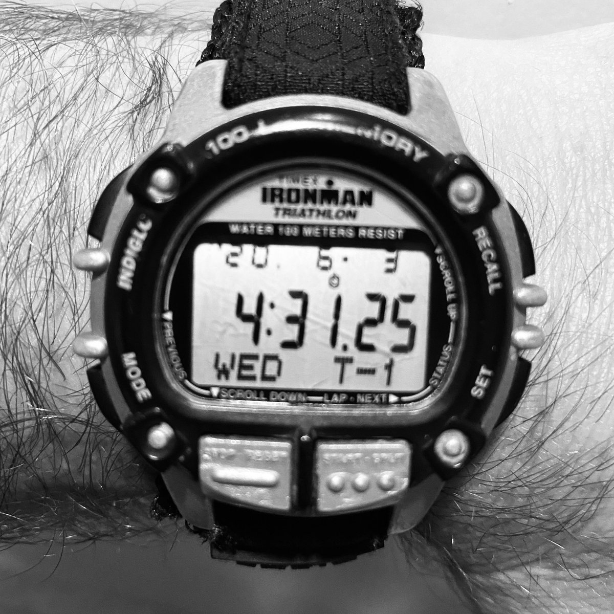 Collier young (Collieryoung4) Twitter