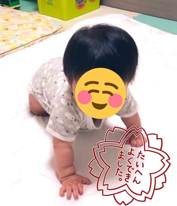 次男、最近ずり這いしたと思ったら、ハイハイしてるー!!成長はやいな〜! 