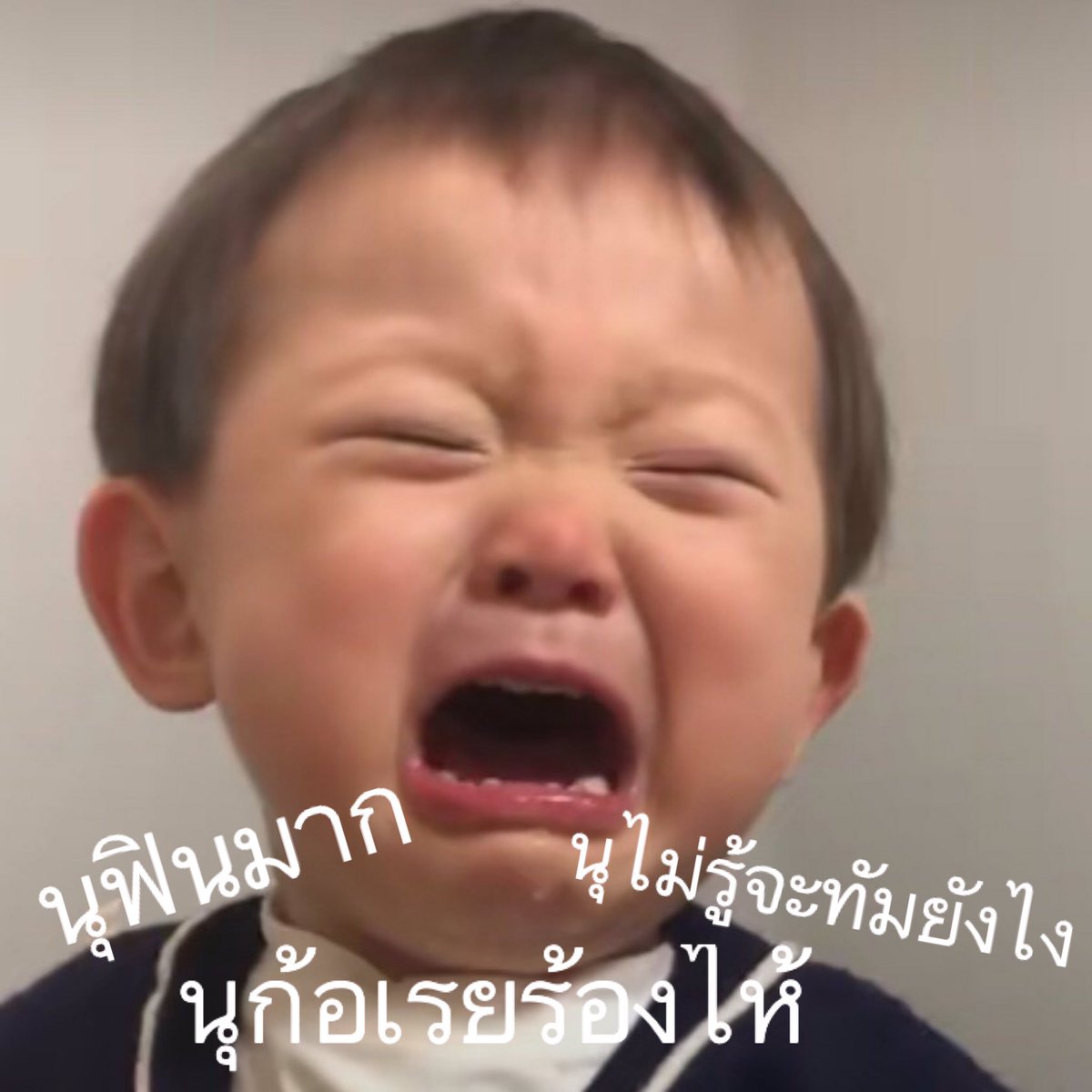 ตาหนู tweet media