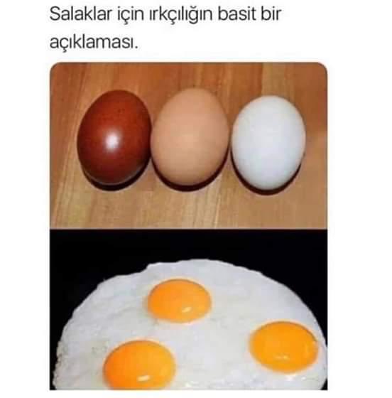 Samlioglu Aysenil (@samliogluayseni) on Twitter photo 