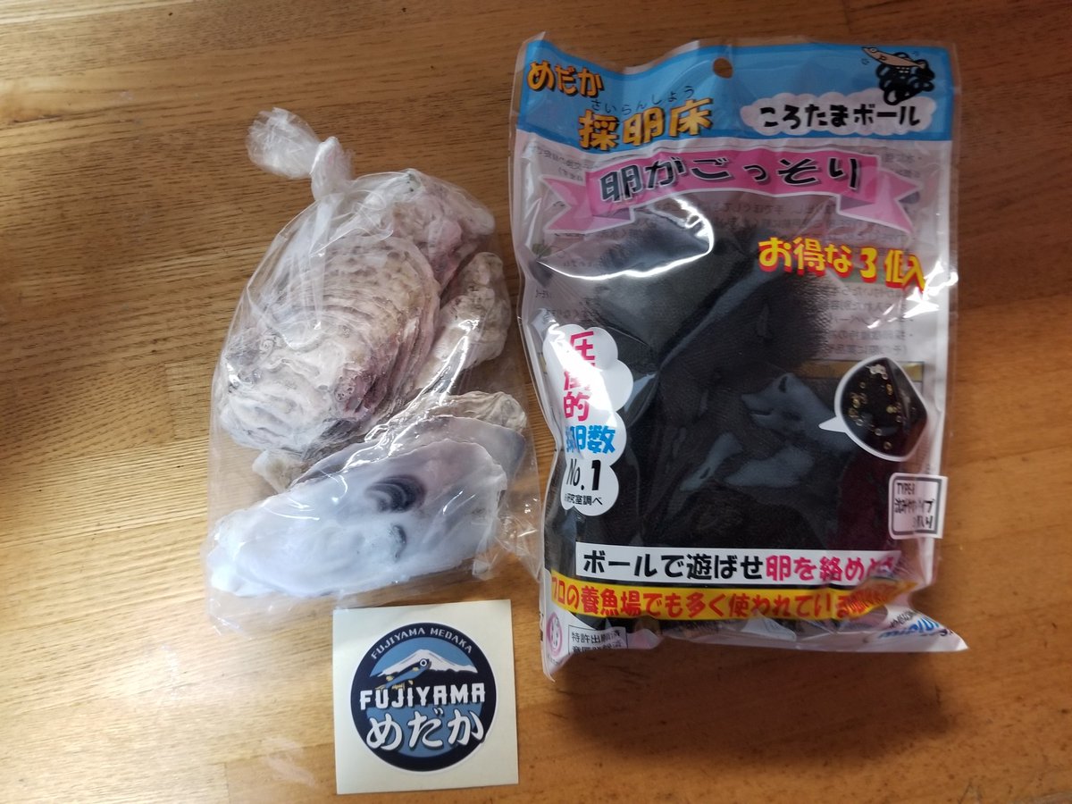ころたまボール
