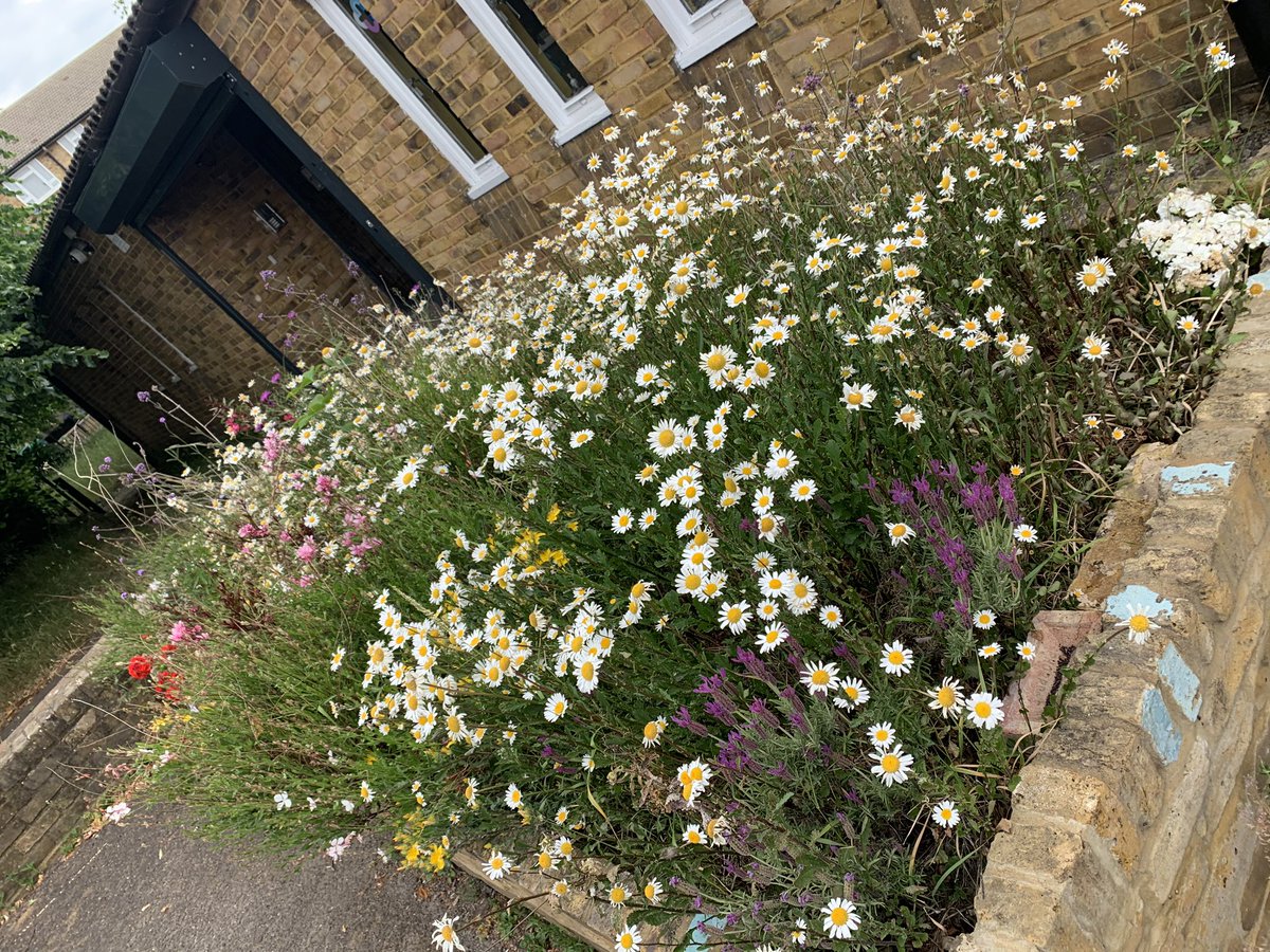 Clemency tweet media