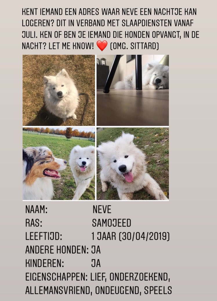 Help me! Voor mijn werk, moet ik weer slaapdiensten gaan werken. Ik zoek dan opvang voor mijn bestie. Delen = lief!❤️